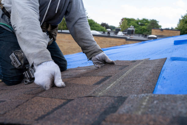 Roof Coating Services in Bushnell, IL